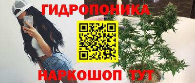 сатива Чебоксары