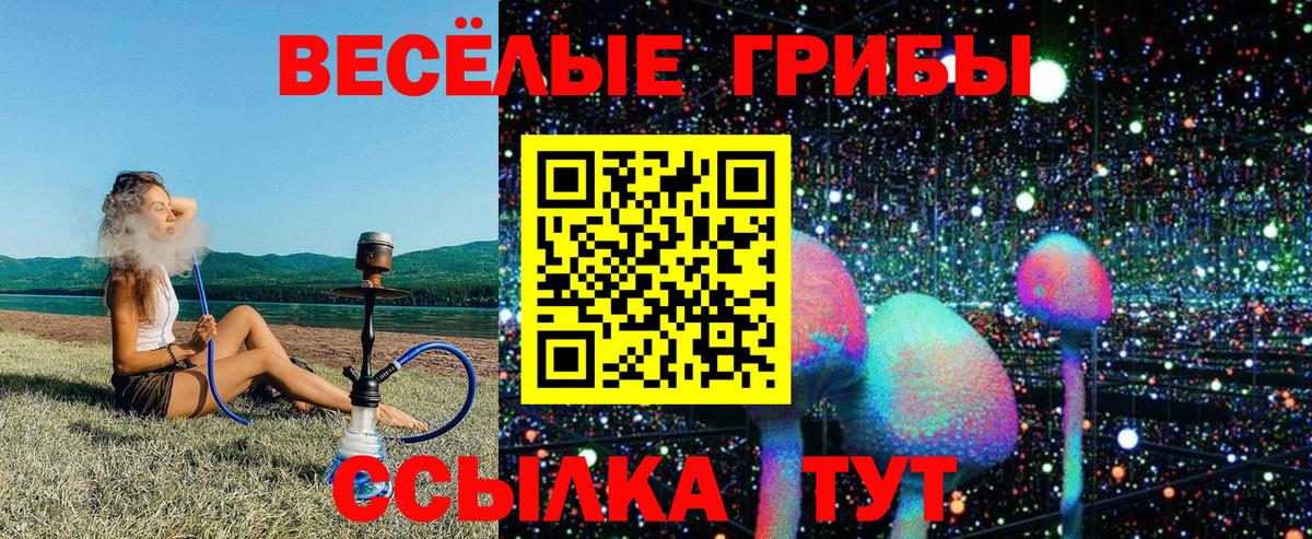 Псилоцибиновые грибы Psilocybine cubensis Волжск